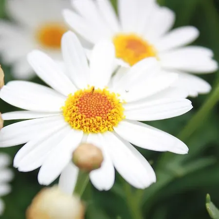 Tenuta Calivello 4* Catanzaro